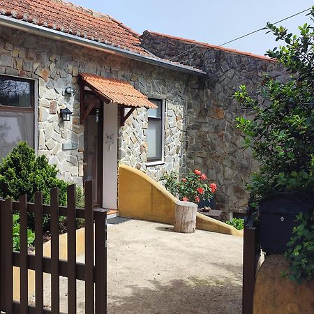 Alojamento Casa Do Cabeco Alombada Macinhata do Vouga Dış mekan fotoğraf