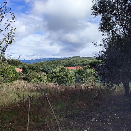 Alojamento Casa Do Cabeco Alombada Macinhata do Vouga Dış mekan fotoğraf