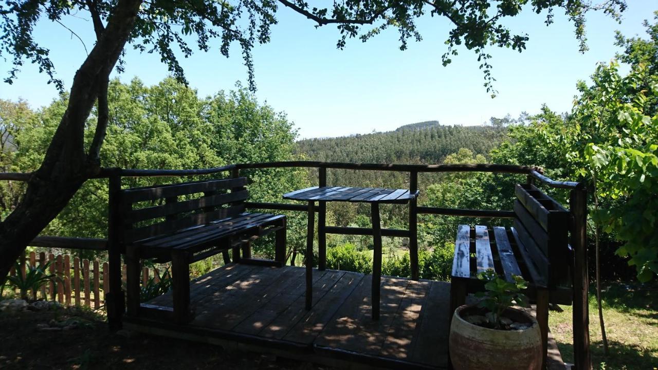 Alojamento Casa Do Cabeco Alombada Macinhata do Vouga Dış mekan fotoğraf