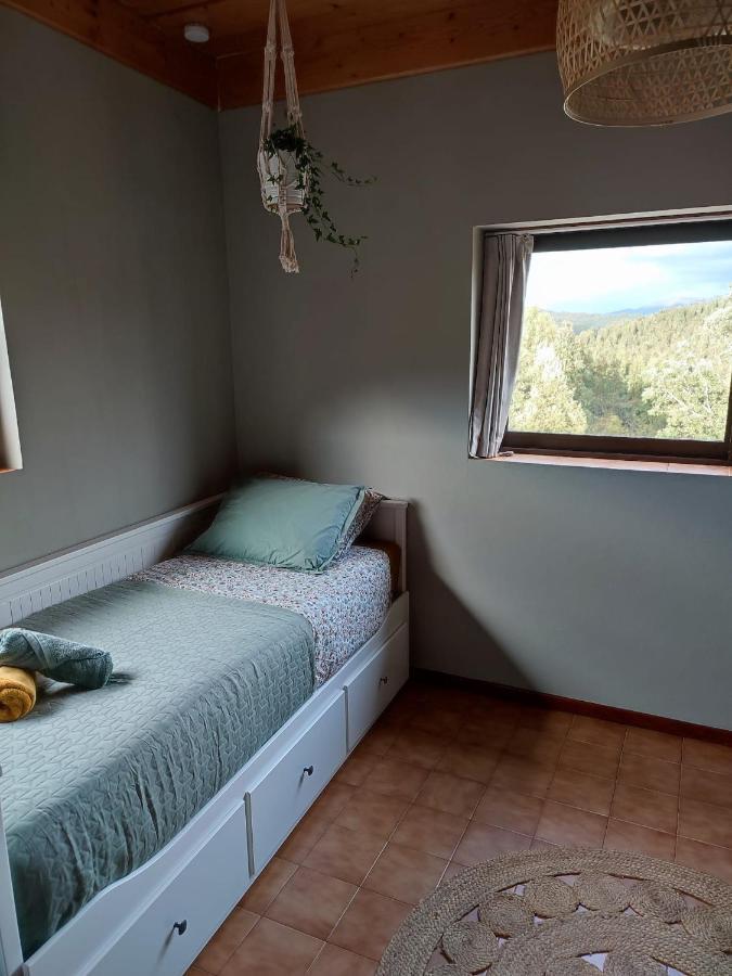 Alojamento Casa Do Cabeco Alombada Macinhata do Vouga Dış mekan fotoğraf