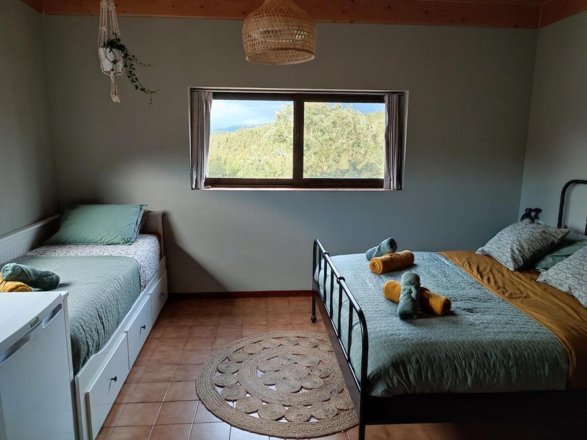 Alojamento Casa Do Cabeco Alombada Macinhata do Vouga Dış mekan fotoğraf
