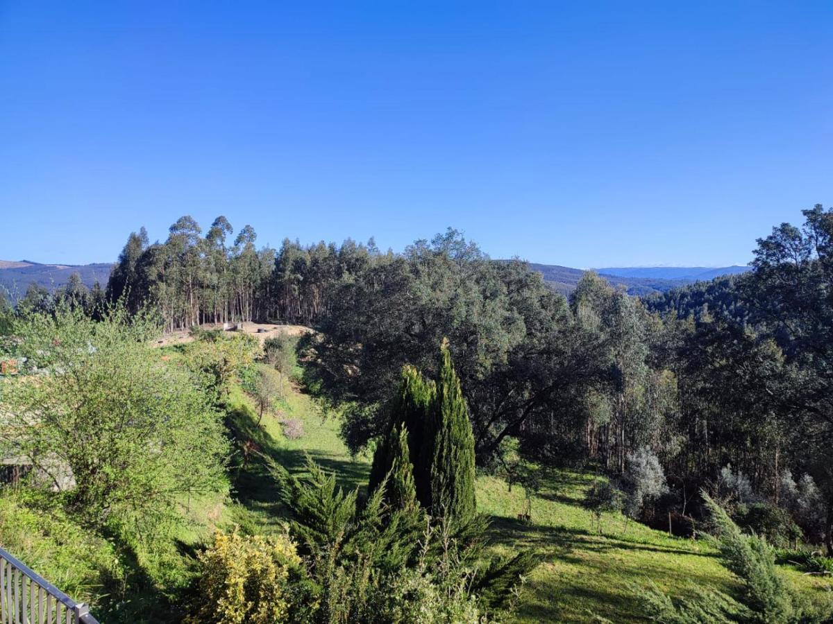 Alojamento Casa Do Cabeco Alombada Macinhata do Vouga Dış mekan fotoğraf