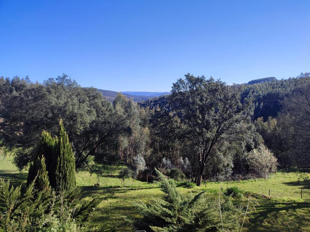 Alojamento Casa Do Cabeco Alombada Macinhata do Vouga Dış mekan fotoğraf