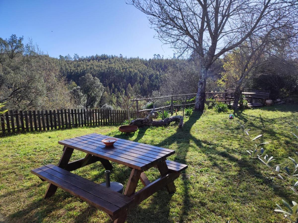 Alojamento Casa Do Cabeco Alombada Macinhata do Vouga Dış mekan fotoğraf