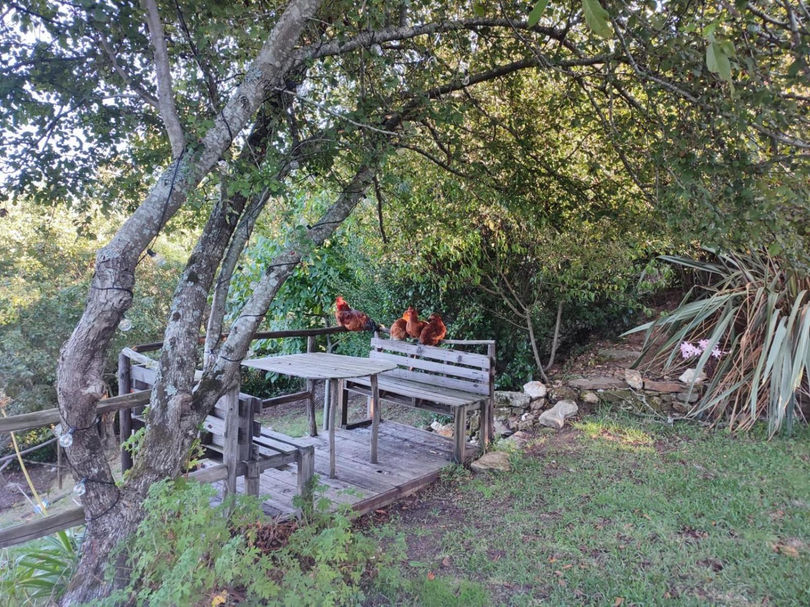 Alojamento Casa Do Cabeco Alombada Macinhata do Vouga Dış mekan fotoğraf