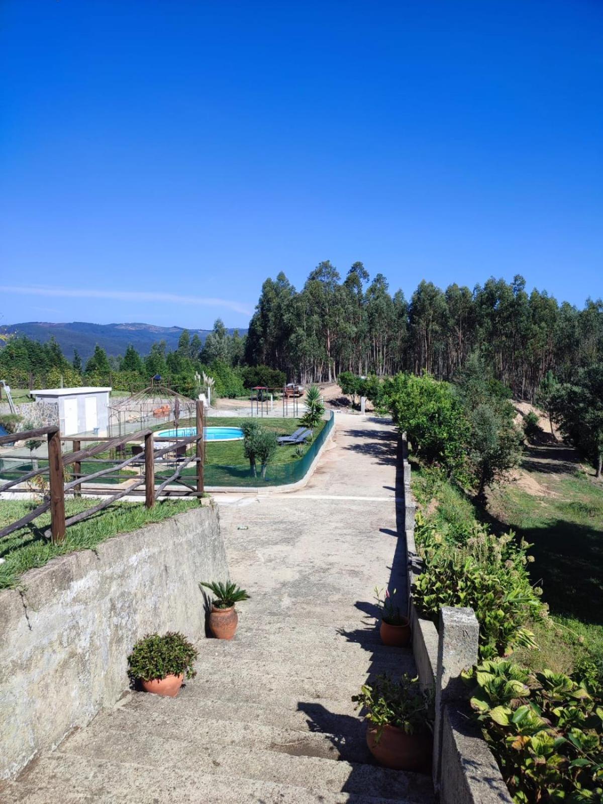 Alojamento Casa Do Cabeco Alombada Macinhata do Vouga Dış mekan fotoğraf