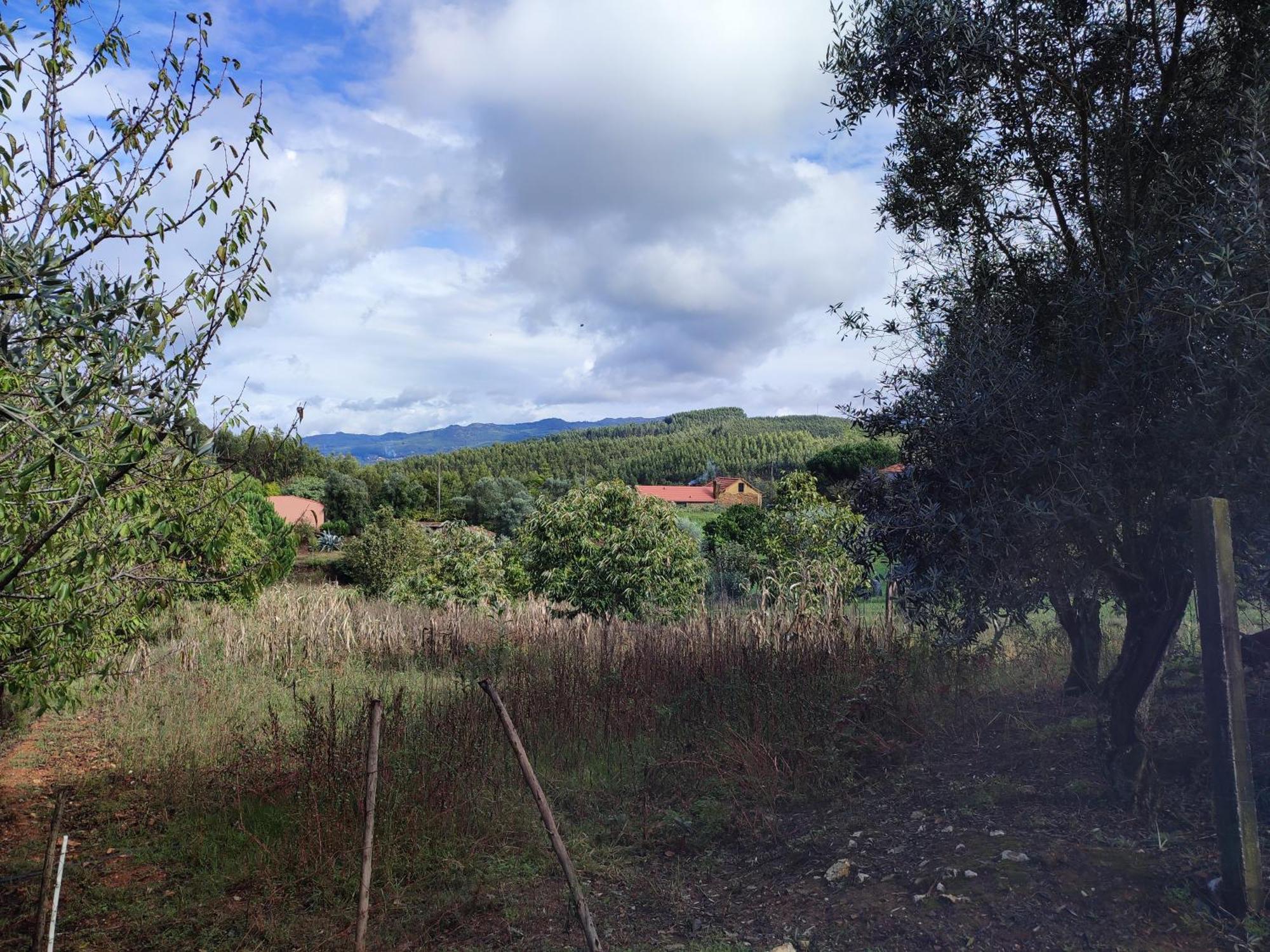 Alojamento Casa Do Cabeco Alombada Macinhata do Vouga Dış mekan fotoğraf